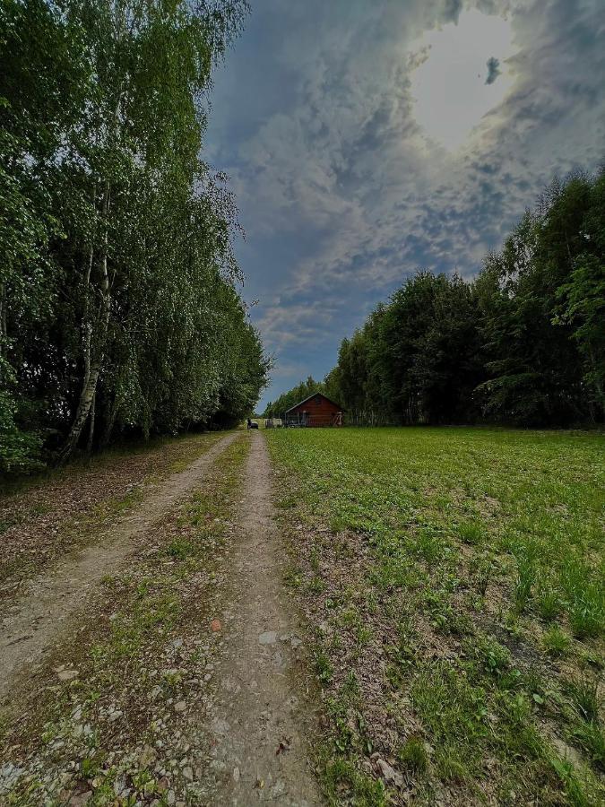 Domek Letniskowy Pod Brzozami Na Roztoczu Wsrod Lasow, Zamosc, Krasnobrod, Zwierzyniec Adamow  Bagian luar foto