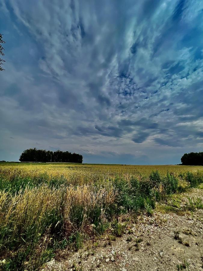 Domek Letniskowy Pod Brzozami Na Roztoczu Wsrod Lasow, Zamosc, Krasnobrod, Zwierzyniec Adamow  Bagian luar foto