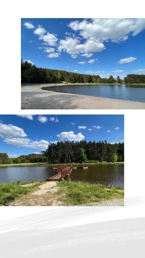Domek Letniskowy Pod Brzozami Na Roztoczu Wsrod Lasow, Zamosc, Krasnobrod, Zwierzyniec Adamow  Bagian luar foto